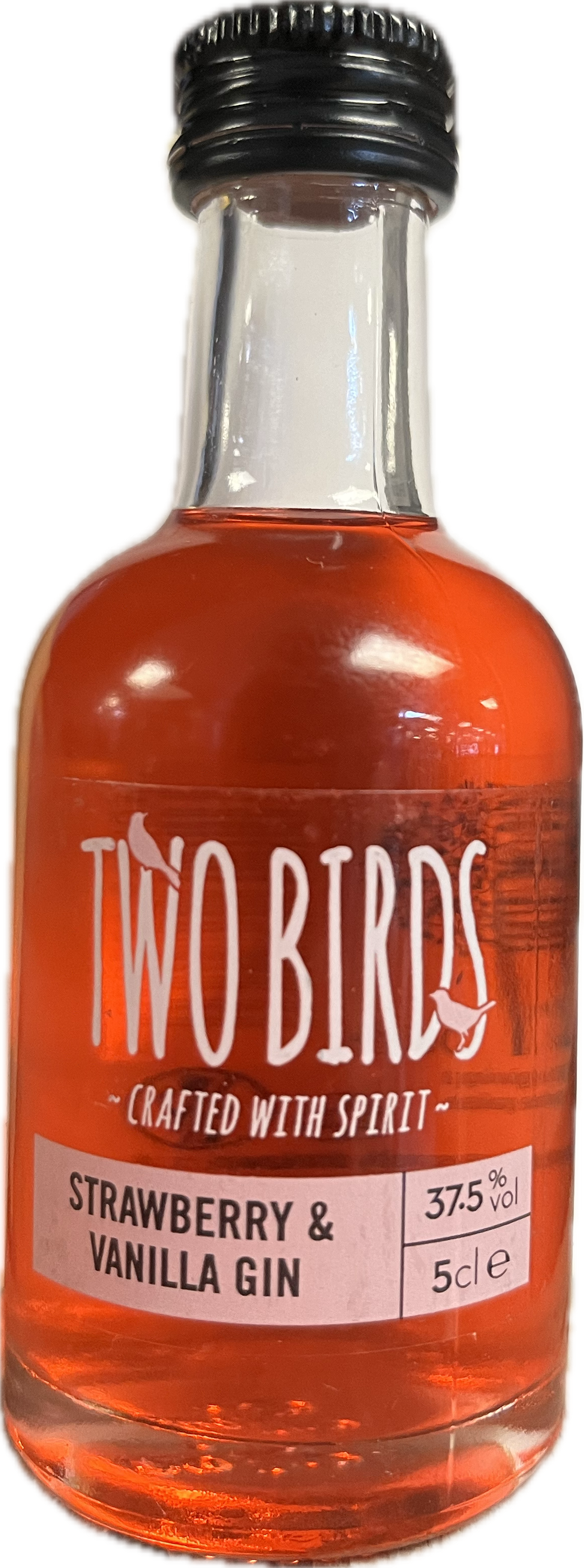 TWO BIRDS STRAWBERRY & VANILLA GIN 38% 5CL